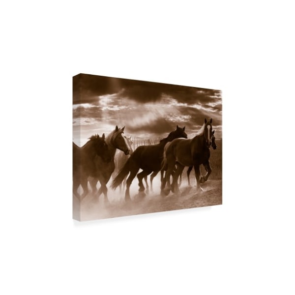 Monte Nagler 'Running Horses And Sunbeams Rothbury Michigan' Canvas Art,35x47